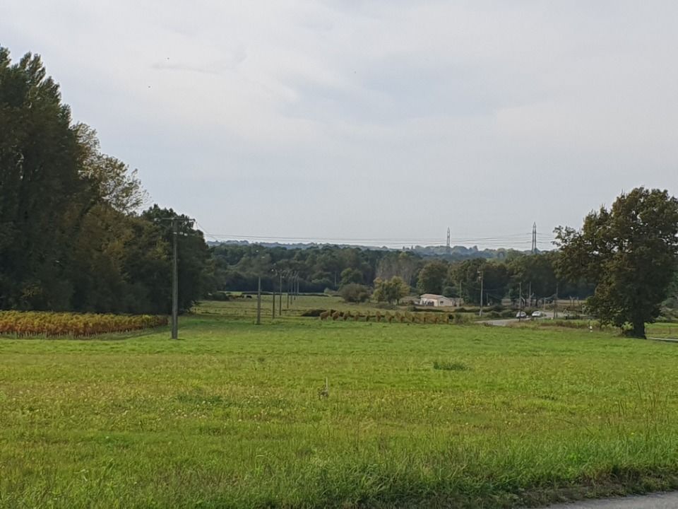 Maisons neuves   Saint-Savin (33920)