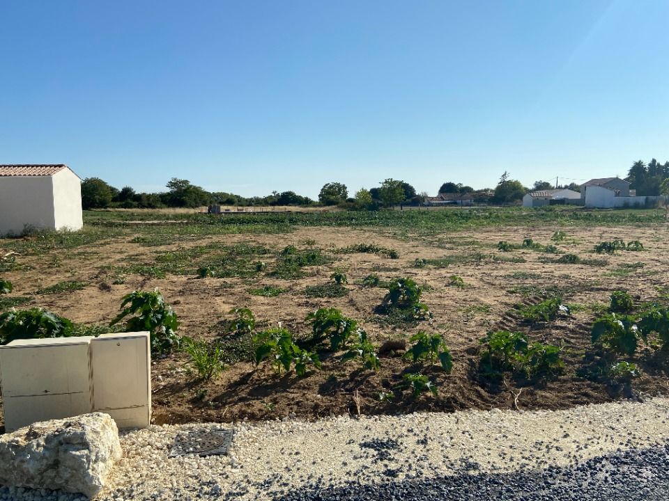 Maisons neuves   Le Gua (17600)