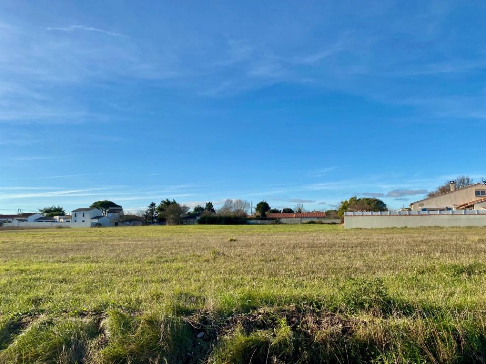Maisons neuves   Saint-Palais-sur-Mer (17420)