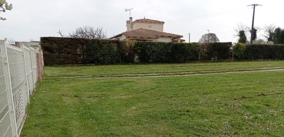 Maisons neuves   Meschers-sur-Gironde (17132)