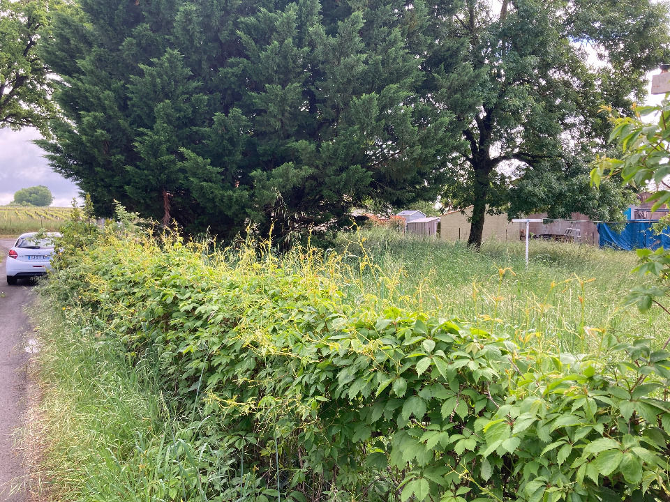 Chaniers : terrain de 373 m² à vendre Idéalement situ....