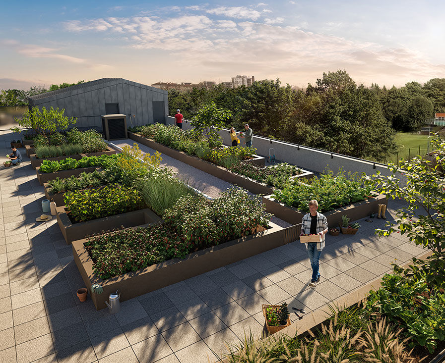 Appartements neufs   Montreuil (93100)