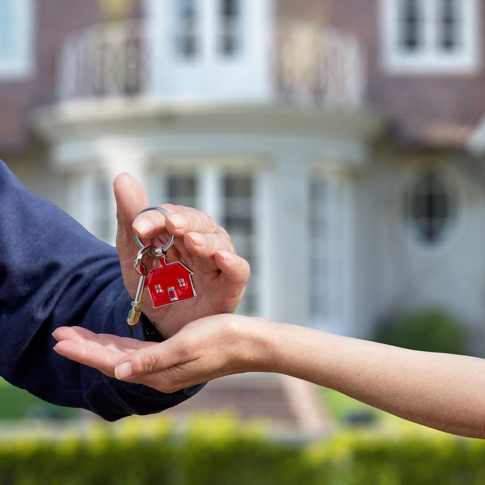 Appartements neufs   Soustons (40140)