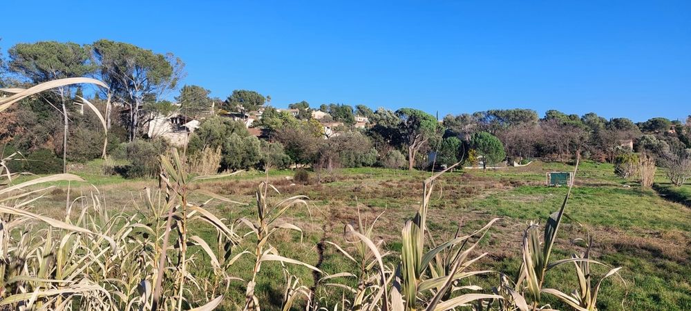 Terrains à batir   Fréjus (83600)