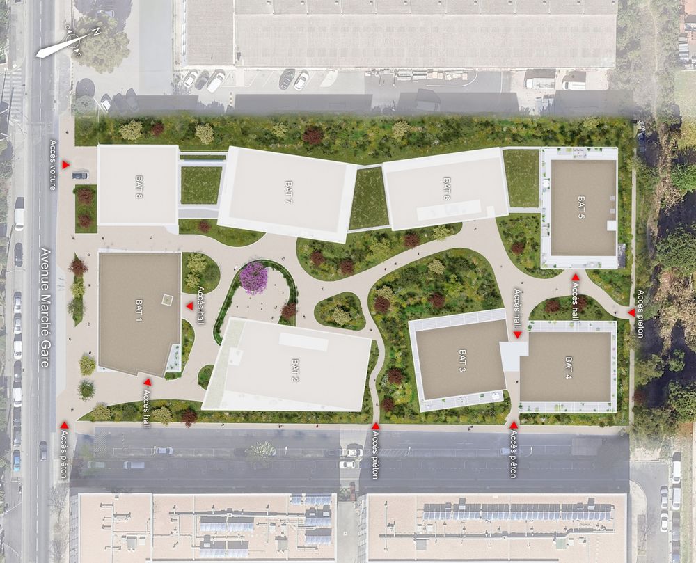 Appartements neufs   Montpellier (34000)