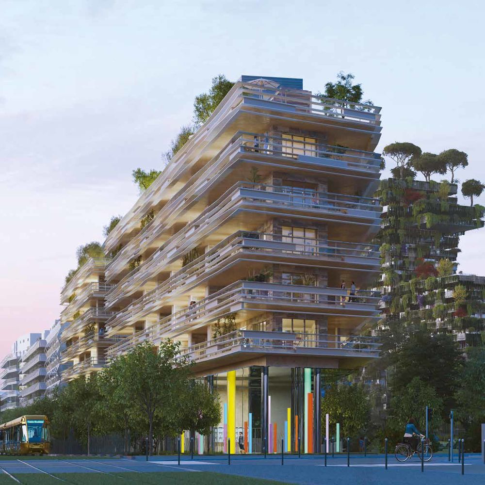 Appartements neufs   Montpellier (34000)
