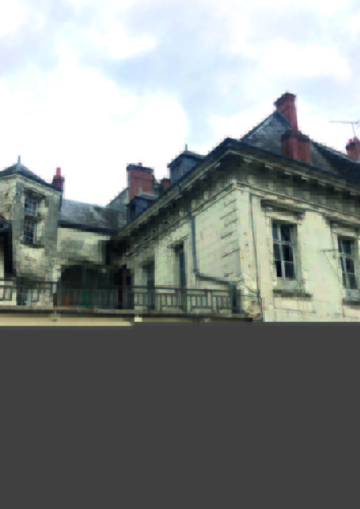 Appartements neufs   Loches (37600)