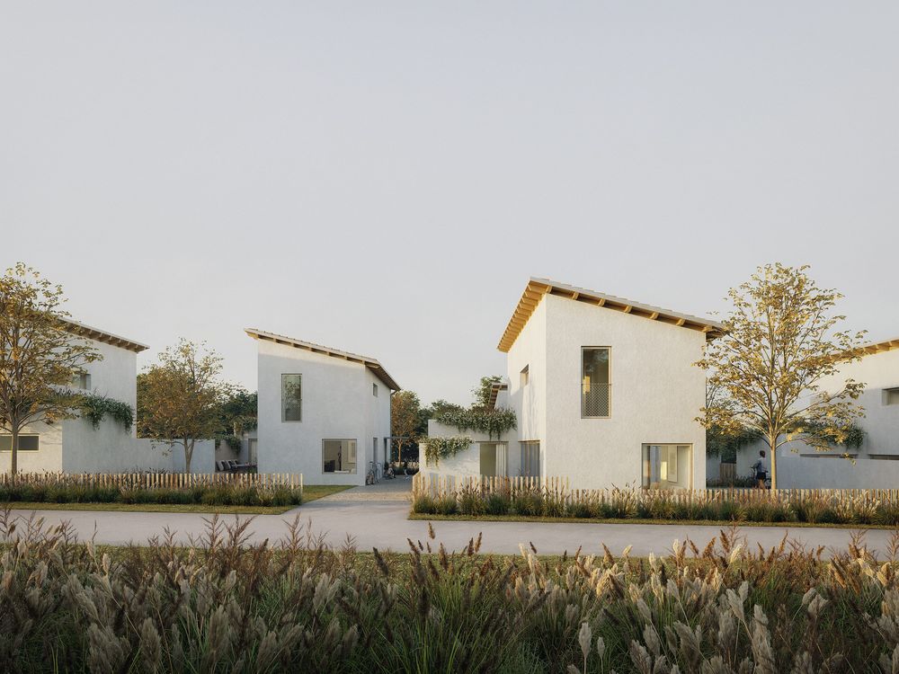 Maisons neuves   Anglet (64600)