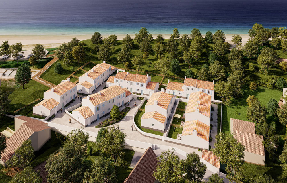 Maisons neuves   L'�pine (85740)