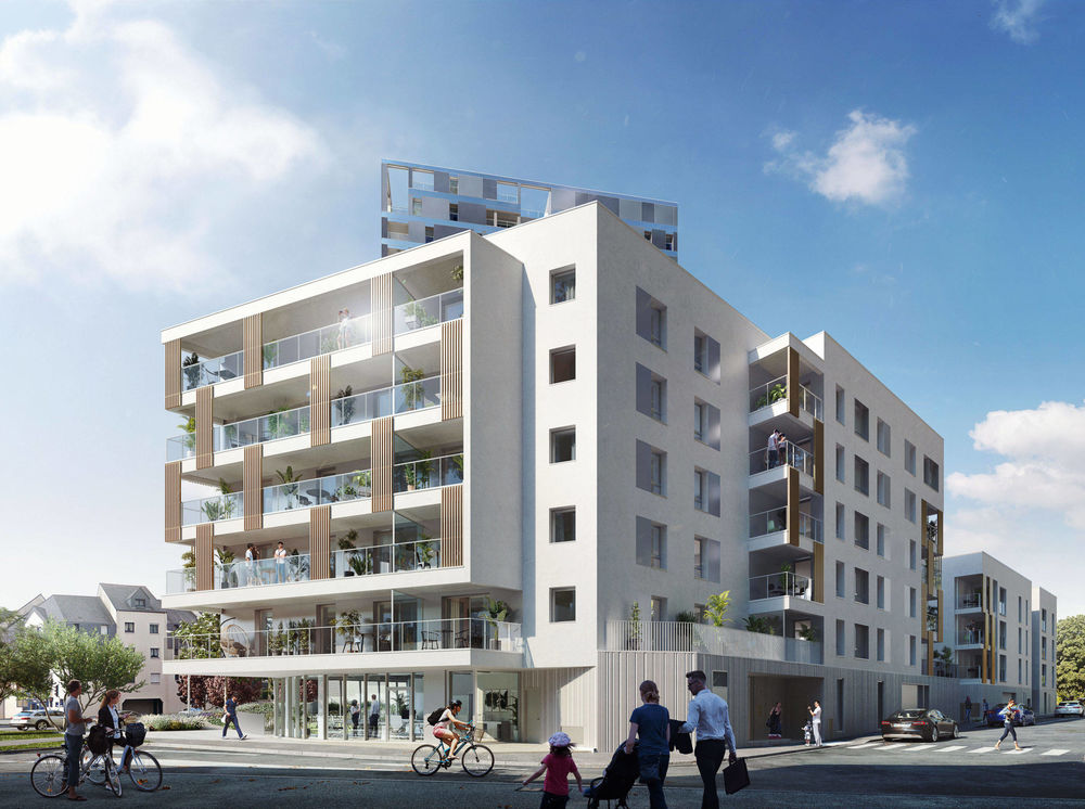 Appartements neufs   Vannes (56000)