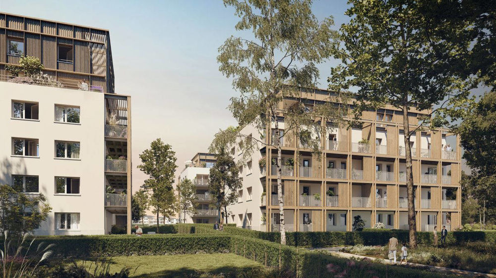 Appartements neufs   Vannes (56000)