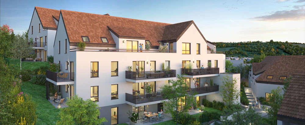Découvrez ce programme immobilier neuf au coeur de Wasse....