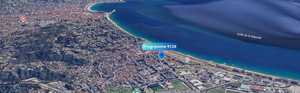Programme Neuf Cannes 9128