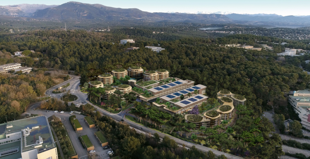 Programme neuf à VALBONNE - 11537