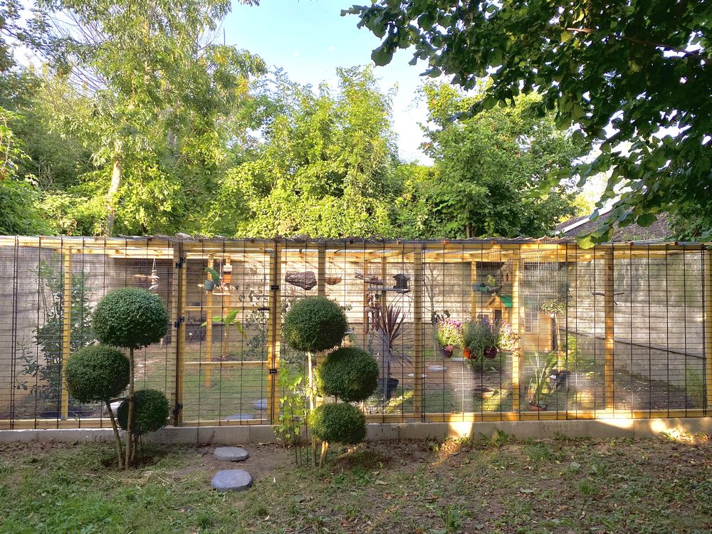 R&eacute;cup&egrave;re perroquet 0 94300 Vincennes