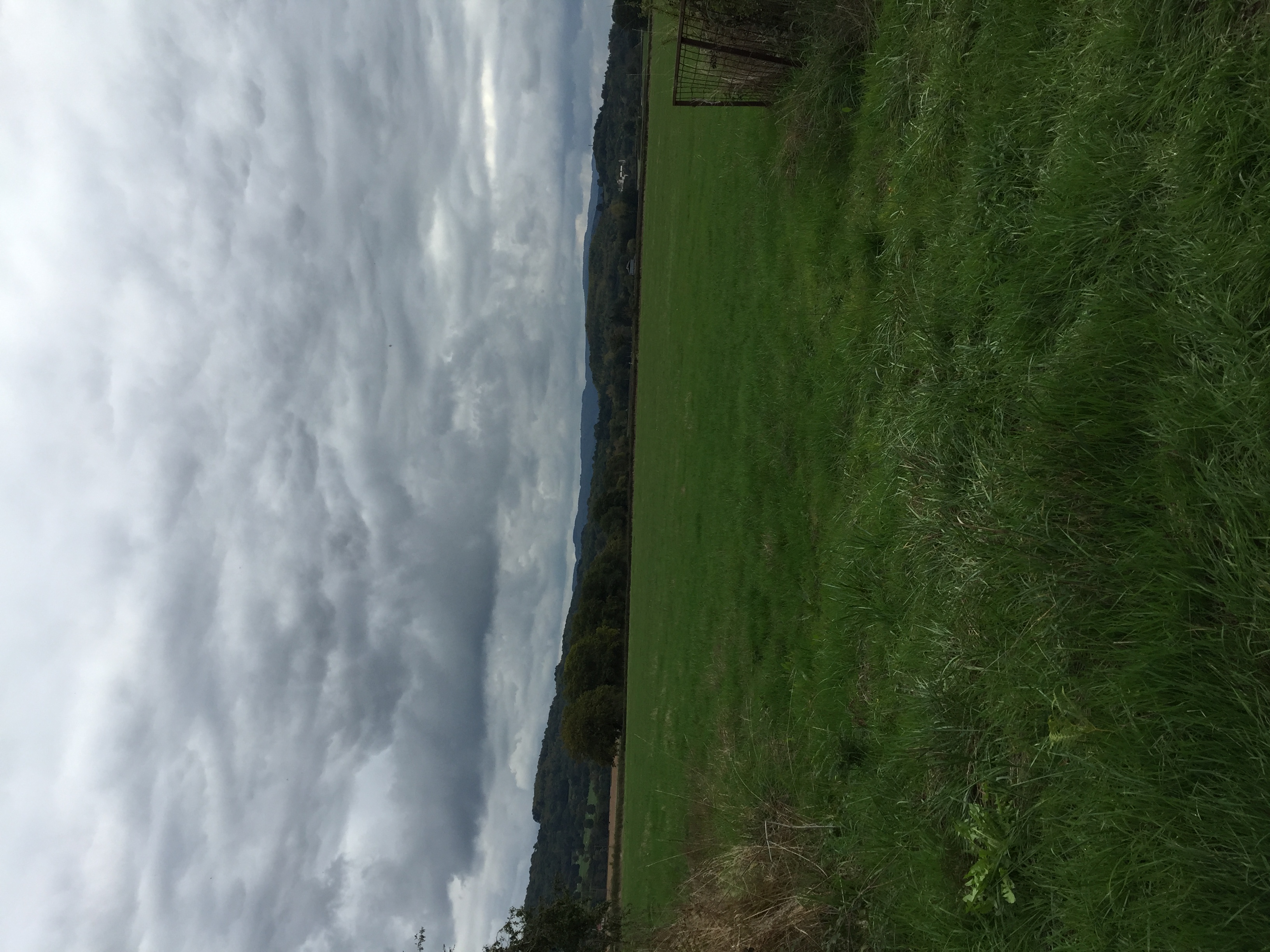 Une parcelle d'1 hectare environ &agrave; louer 0 71990 Saint-l�ger-sous-beuvray