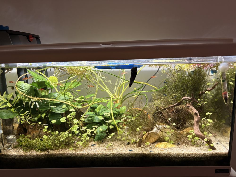 Aquarium 110 13014 Marseille