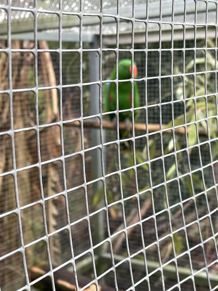 Couple electus 1500 33125 Hostens