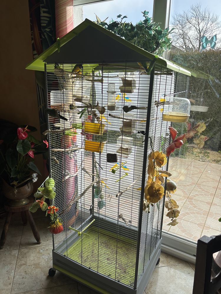 Vent+voli&egrave;re+plus+oiseaux+ 250 21121 �taules