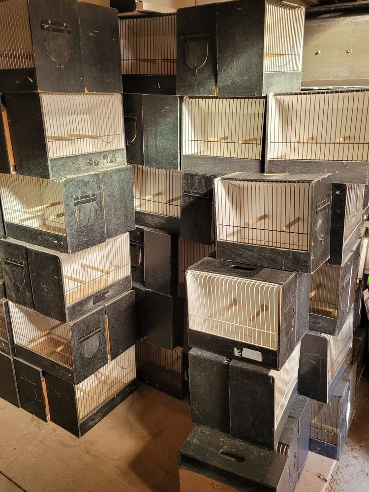 Cage exposition oiseaux 5 18100 Vierzon