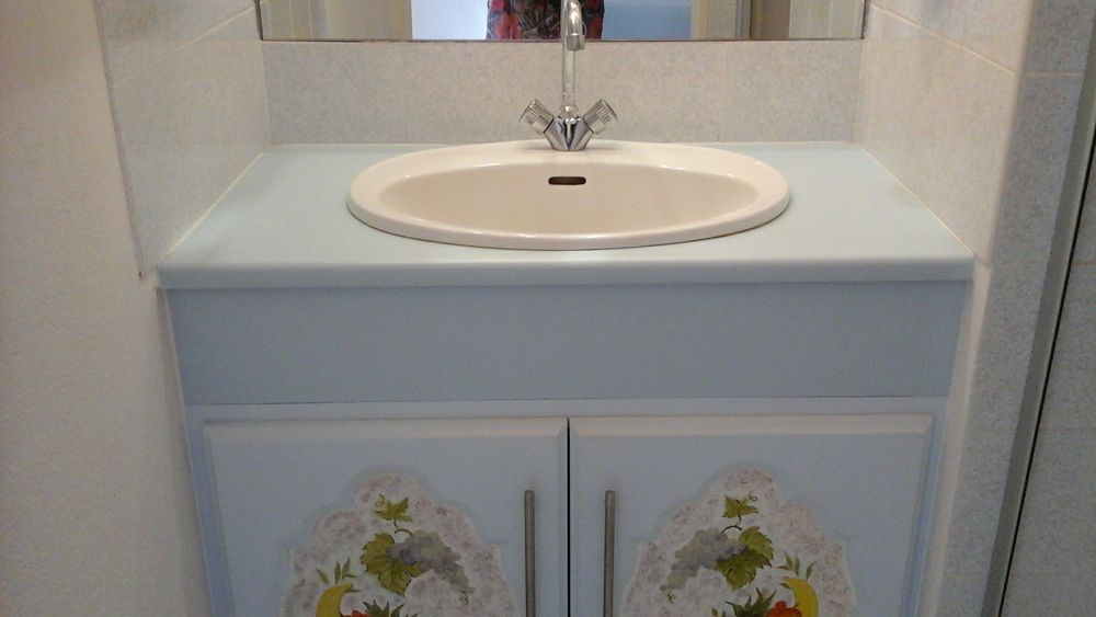 Meubles Vasque Occasion Dans La Loire 42 Annonces Achat Et Vente De Meubles Vasque Paruvendu Mondebarras