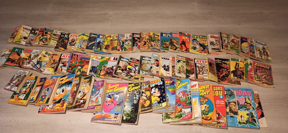 lot 265 BD 150 Cellieu (42)