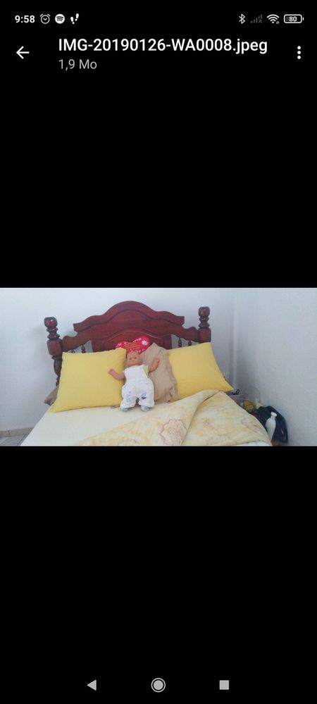 Lit 250 Martinique (97)