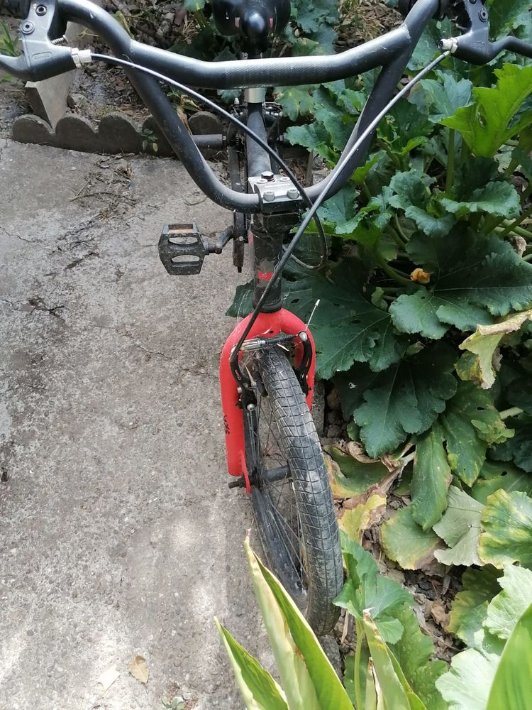 bmx 30 Montgiscard (31)