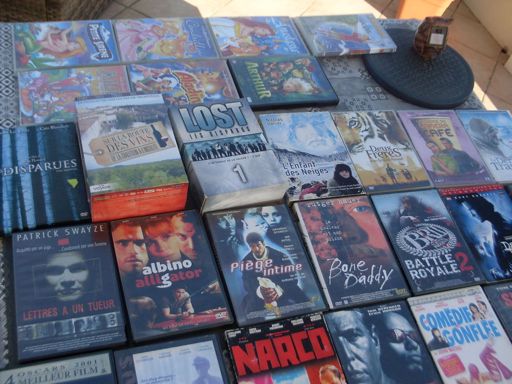 lot de DVD 0 Saint-L�ger-des-Bois (49)