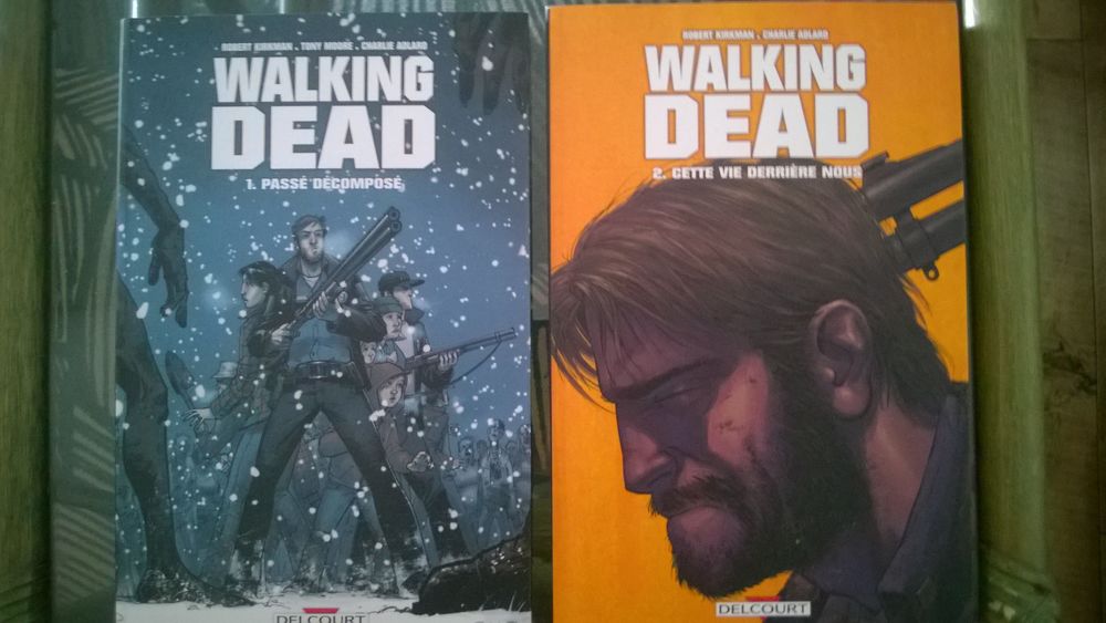 bd 5 Brive-la-Gaillarde (19)