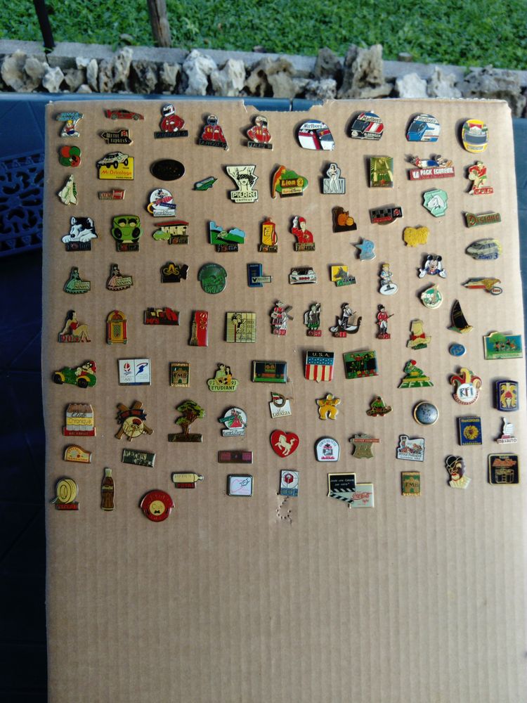 Pin s 0 Allassac (19)