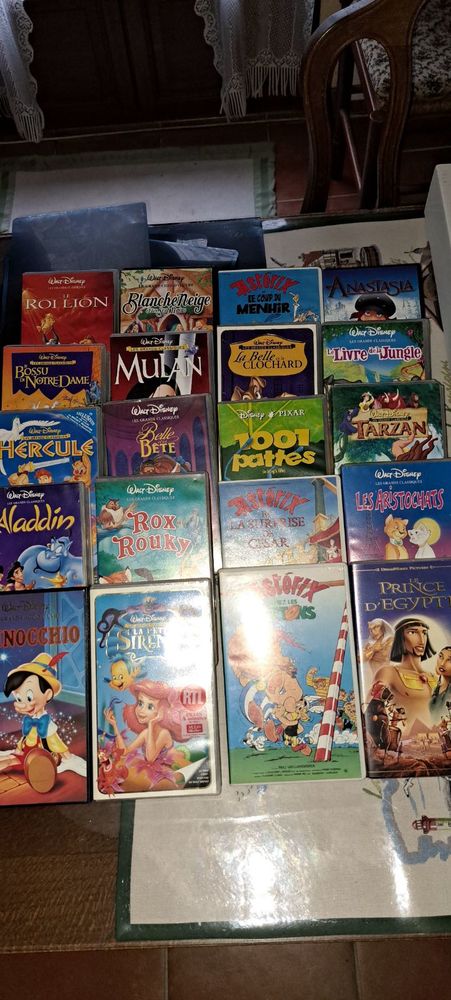 VHS 100 Cherves-Richemont (16)