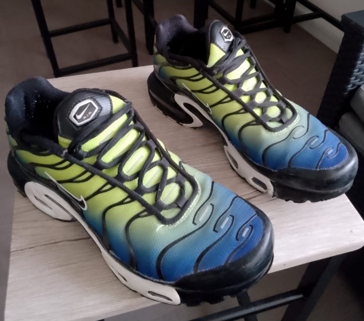 Air max tn 45 Valence (26)