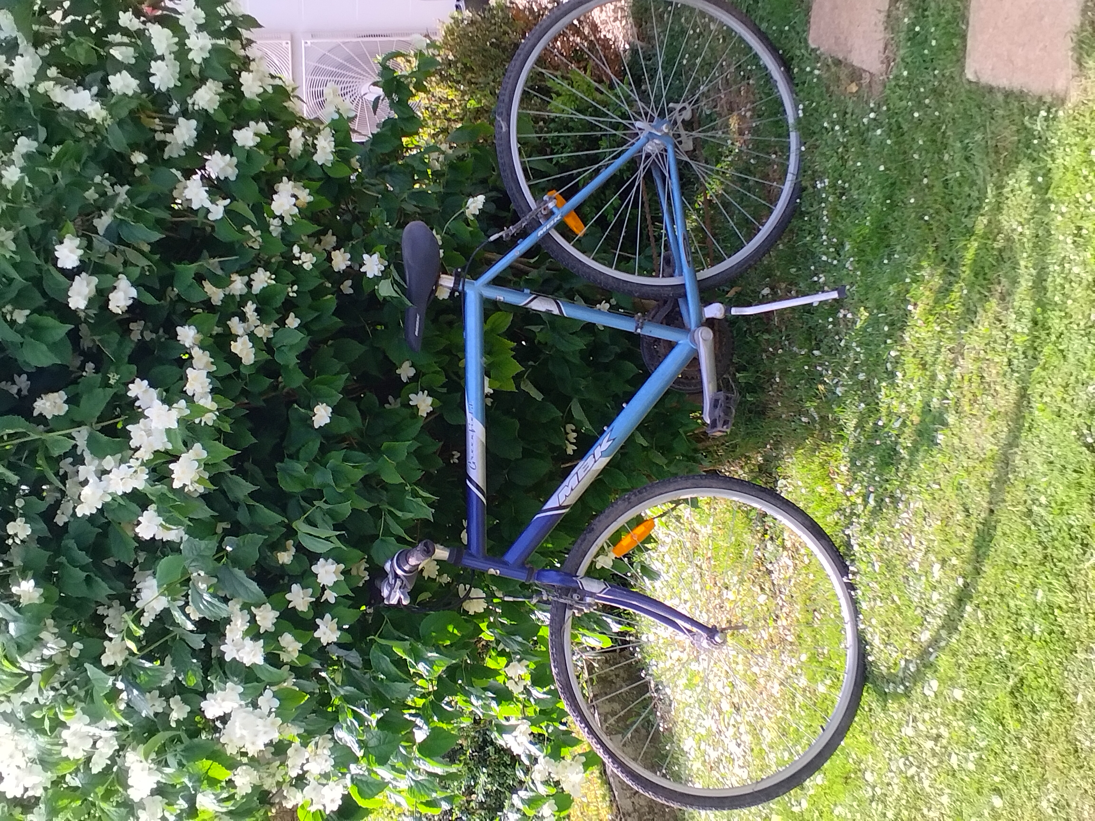 VYT 50 La Tombe (77)