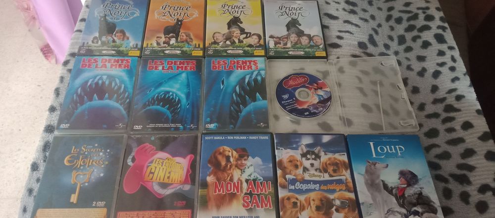 DVD 1 Montpellier (34)