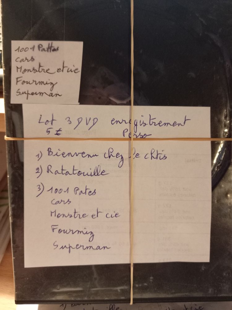 lot 3 DVD 5 Bonnefamille (38)