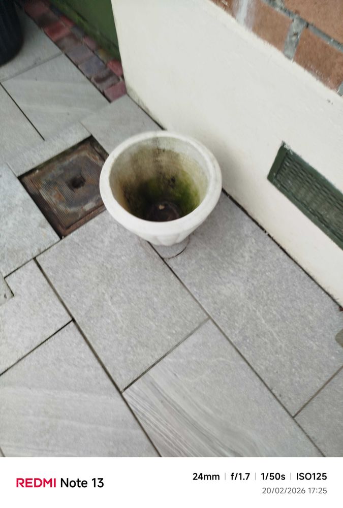 pot 25 Quarouble (59)