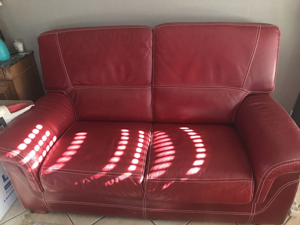 canap� cuir deux places 0 Orvault (44)
