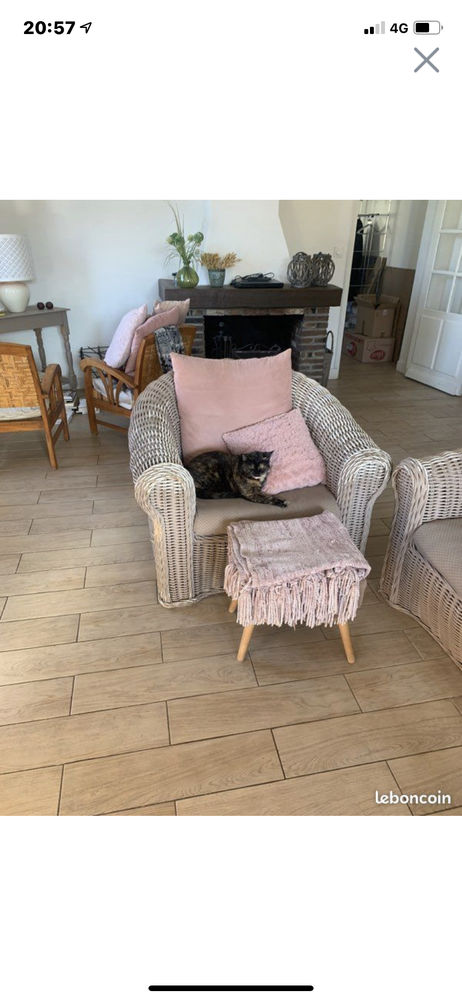 Canap� et deux fauteuils en rotin roche bobois 300 Beauvais (60)