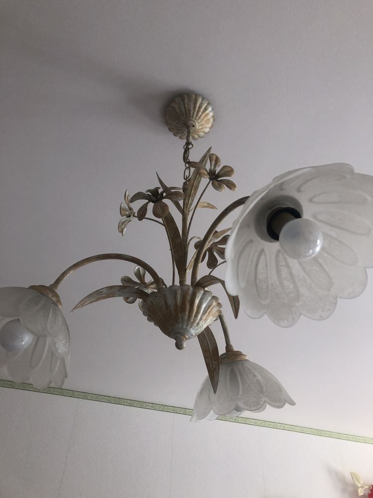 Lustre 12 Albias (82)