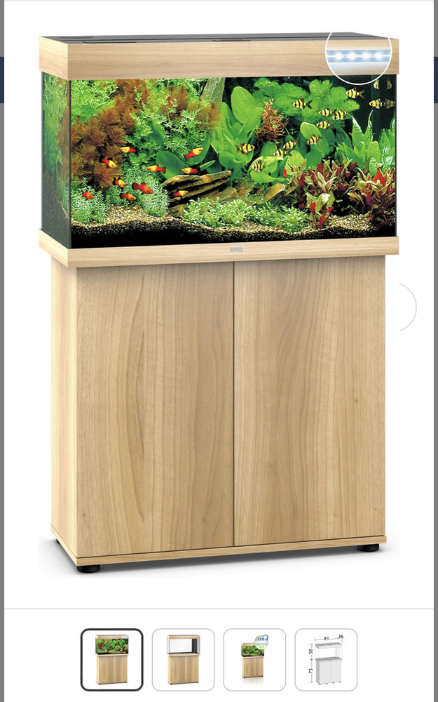 Aquarium Juwel 125L LED + meuble 250 Valenciennes (59)