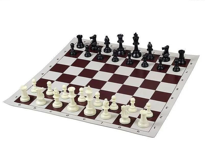 Neufs: pi�ces d'�checs -grande taille ( taille 6)+ �chiquier 33 Hazebrouck (59)