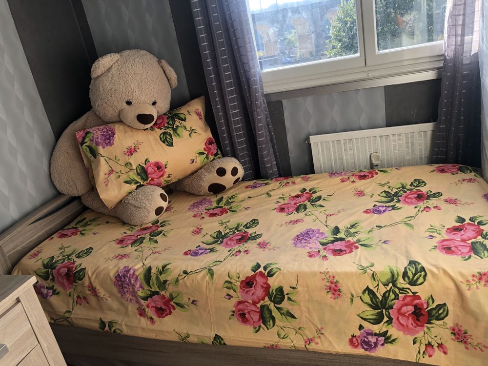 Lit sommiers 180 Avon (77)