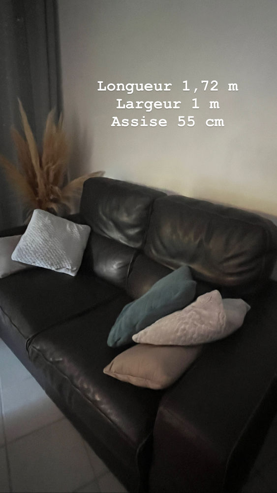 2 Canap�s cuir couleur chocolat 1000 Antibes (06)