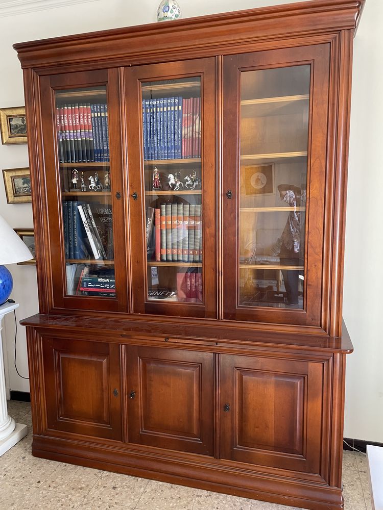 Biblioth�que vitr�e en bois massif 450 Carpentras (84)
