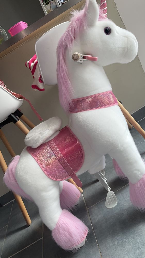 Ponycycle 170 Hirson (02)