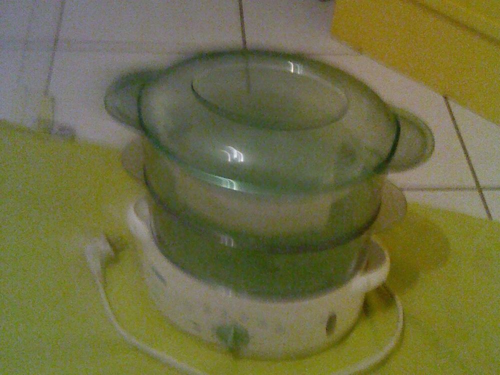 Cuiseur vapeur SEB 18 �pernon (28)