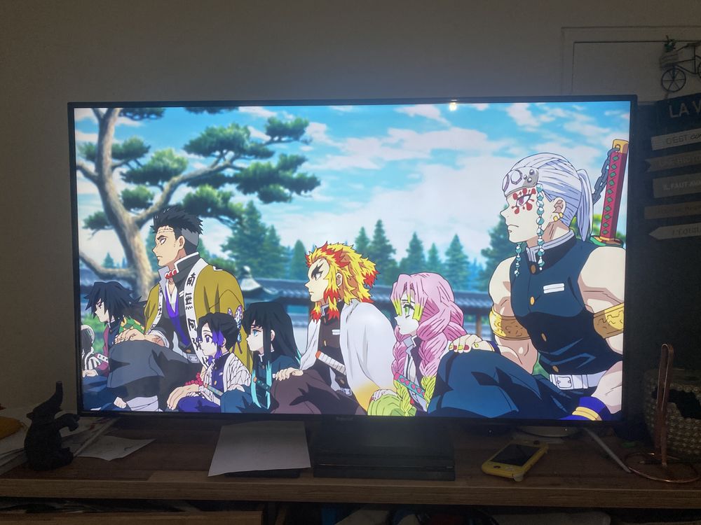 D�m�nagement 350 Orleans (45)