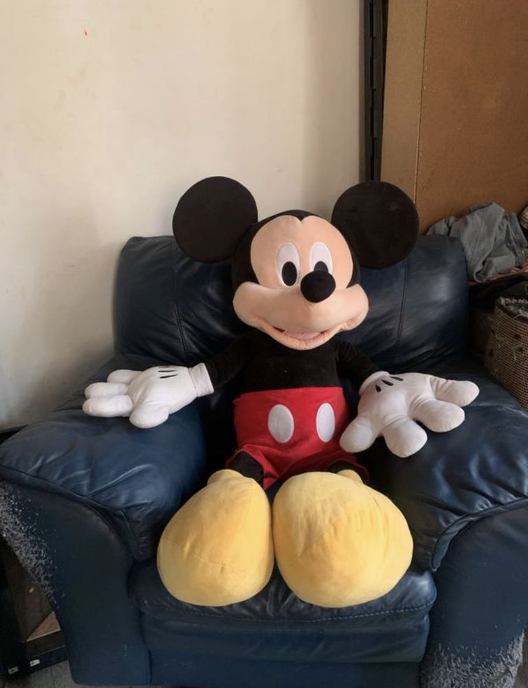 Peluche 100 Lyon 5 (69)