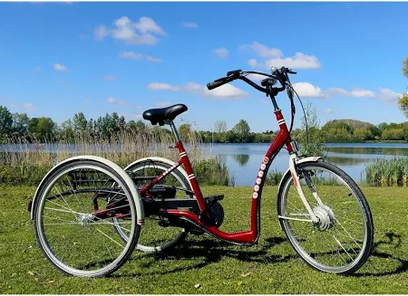 tricycle �lectrique neuf 1900 Montreuil (85)